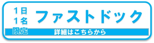 ファストドック